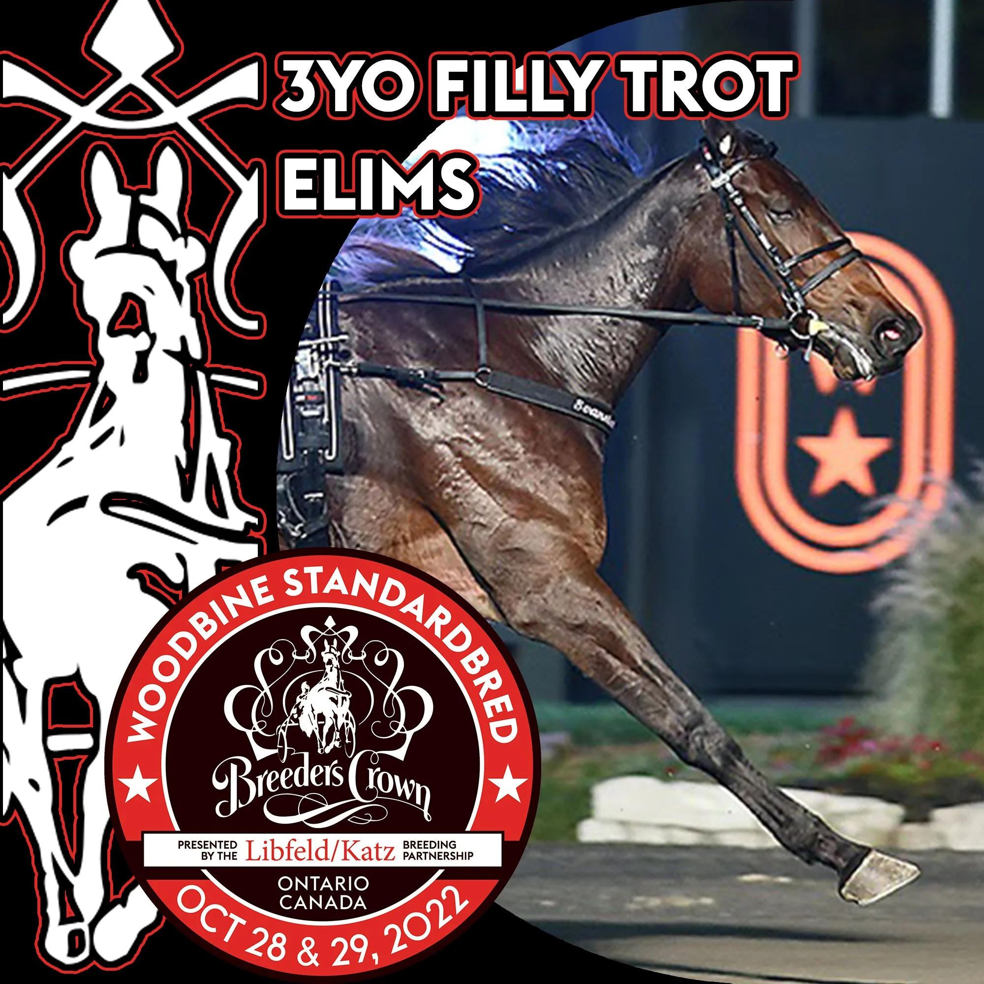 New Canadian Record For Jiggy Jog S: Breeders Crown 3 Year Old Trot Eliminations