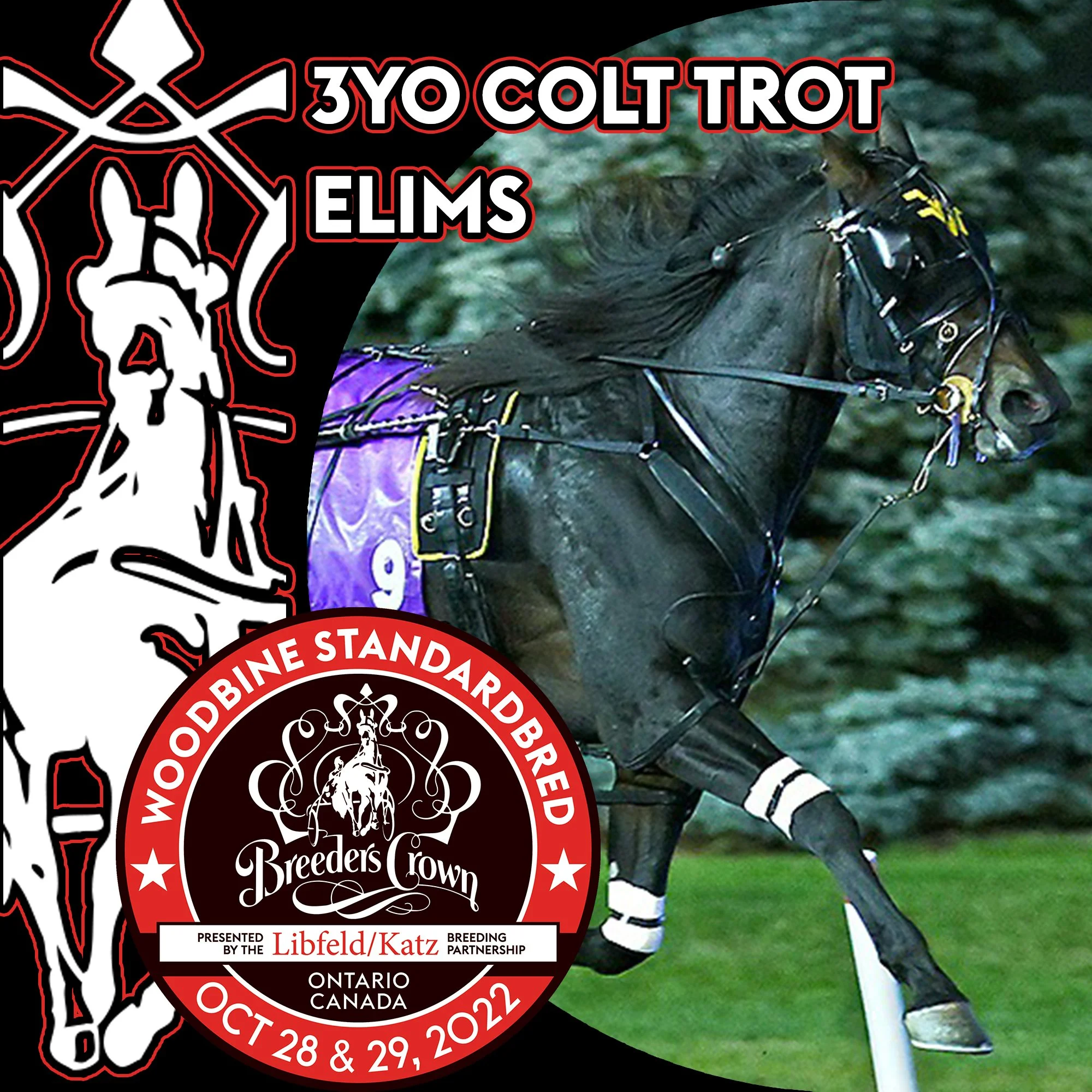King Of The North, Double Deceiver Upset In Breeders Crown Eliminations