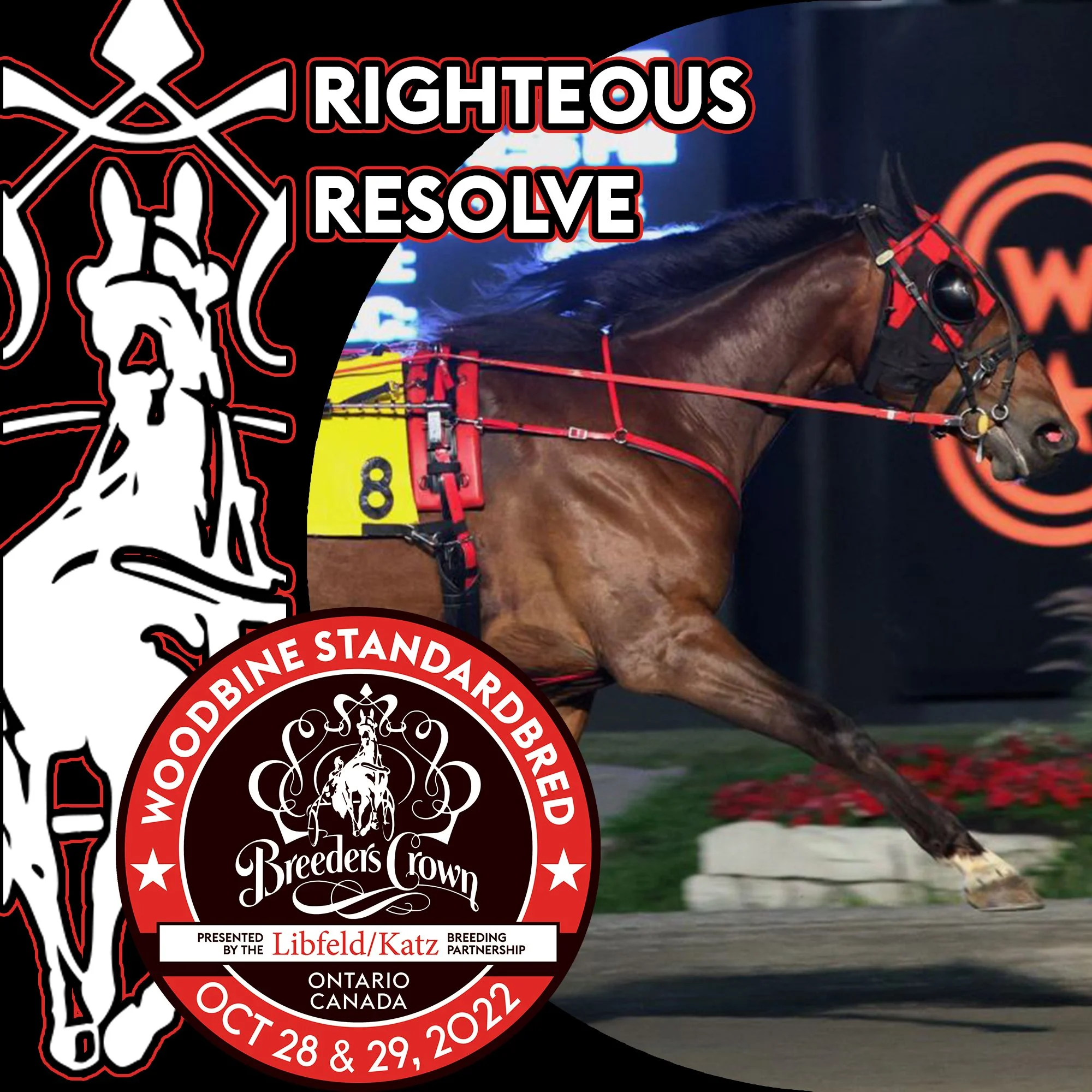 Righteous Resolve Looking for Crowing Achievement to Incredible Freshman Season