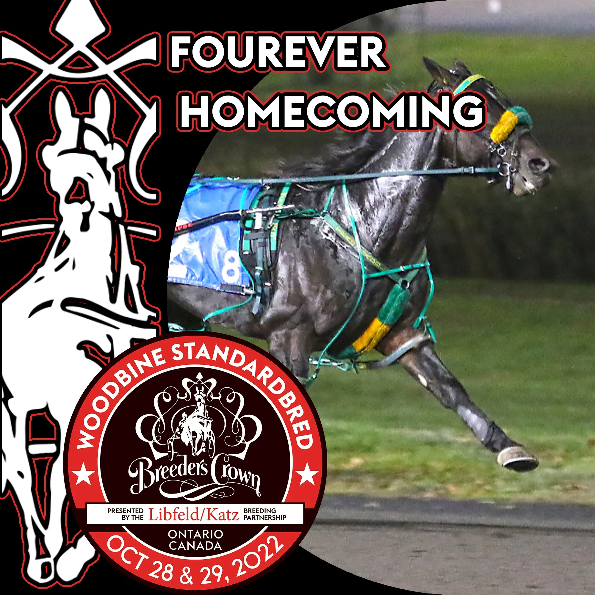Twaddle Hopes For A “Fourever” Homecoming in Breeders Crown