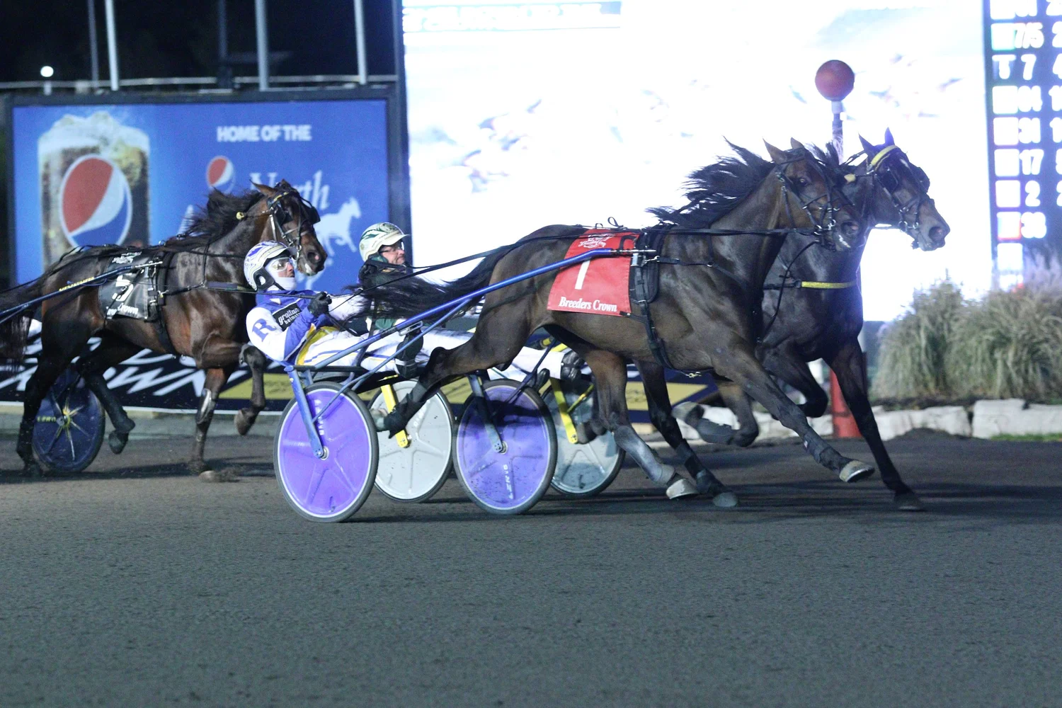 Gaines Hanover