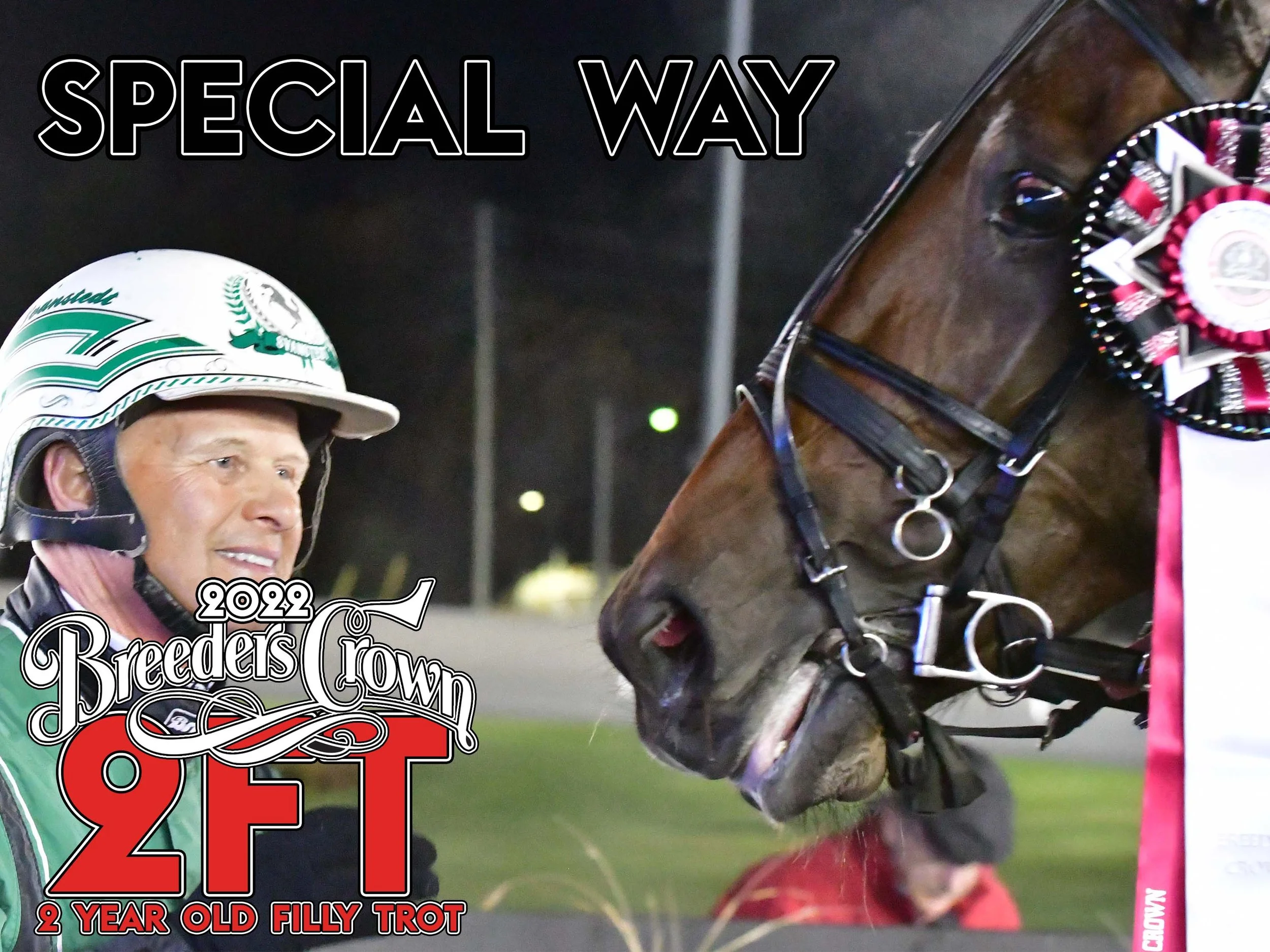Special Way - 2FT