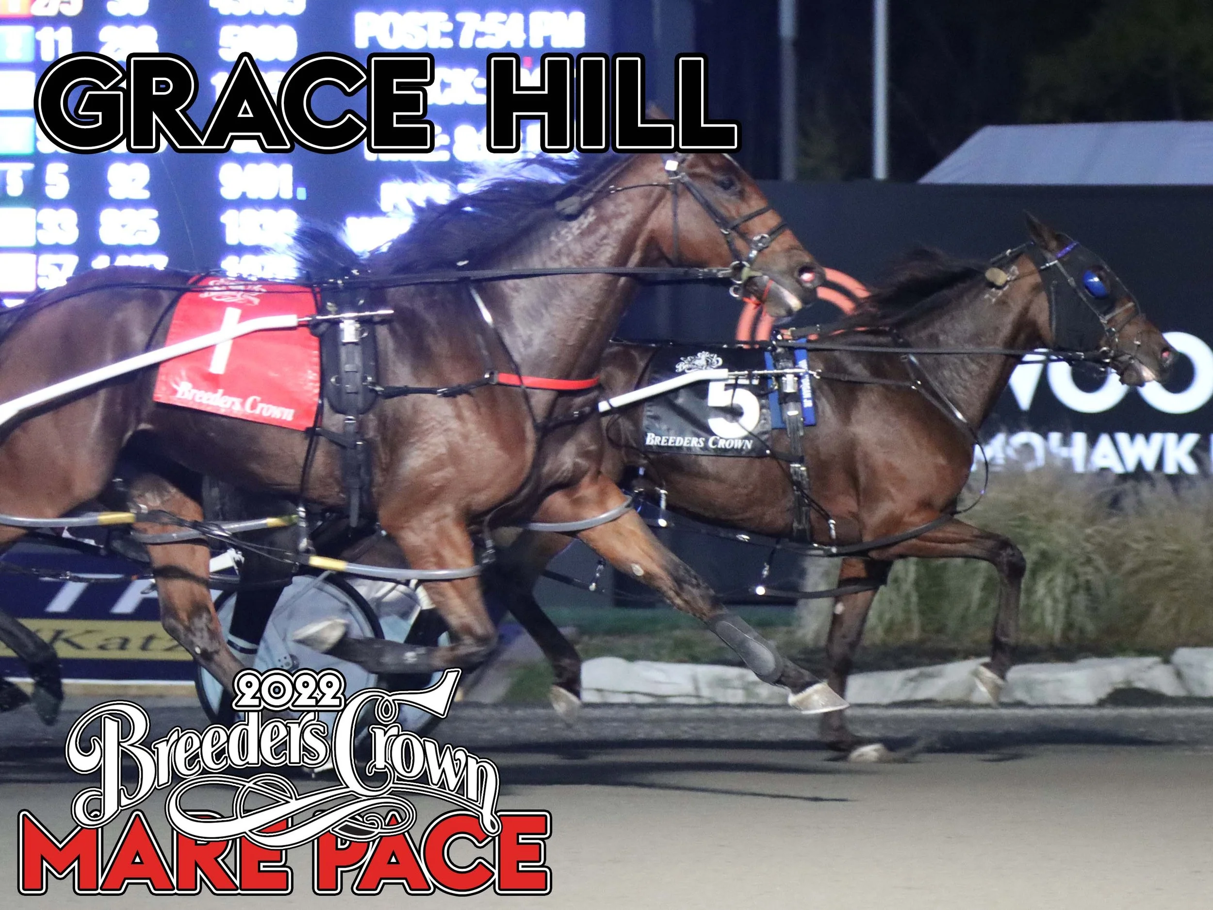 Grace Hill - Mare Pace