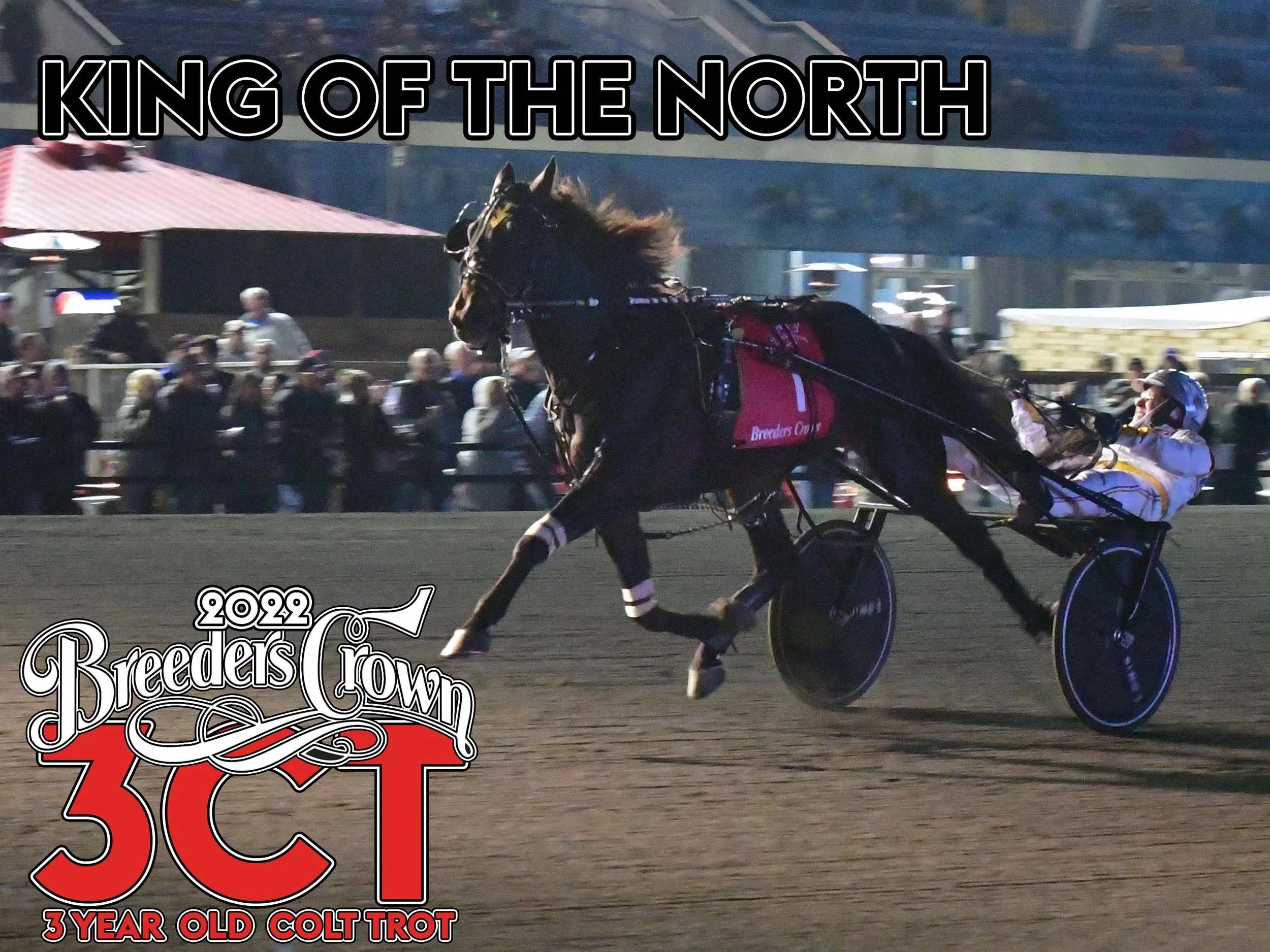 King Of The North - 3CT