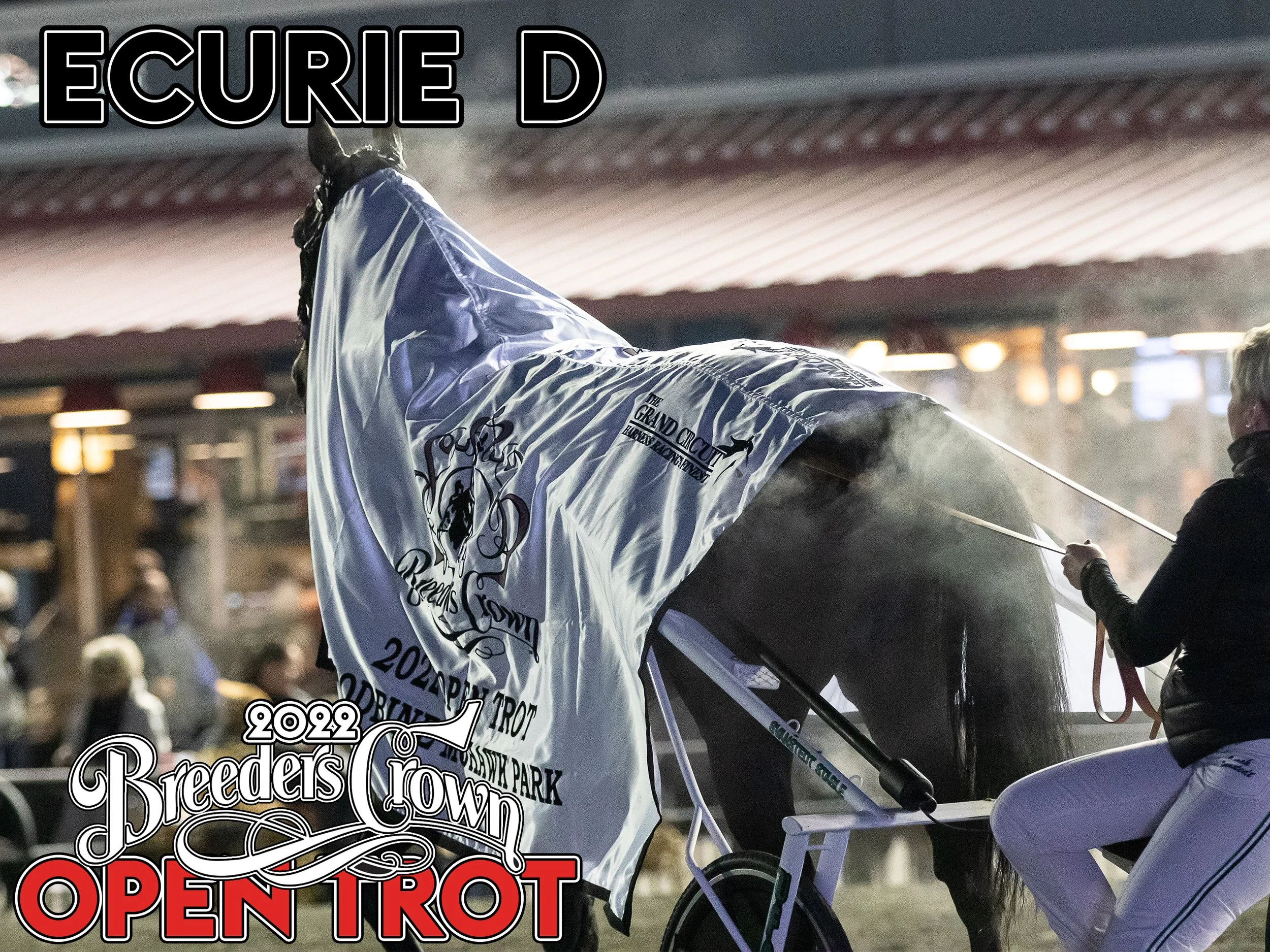 Ecurie D - Open Trot