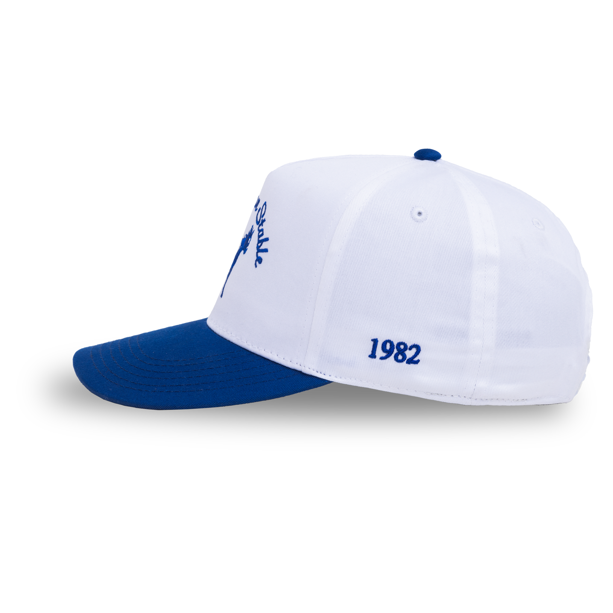 SS X BREAKAWAY  HAT 2  82.png