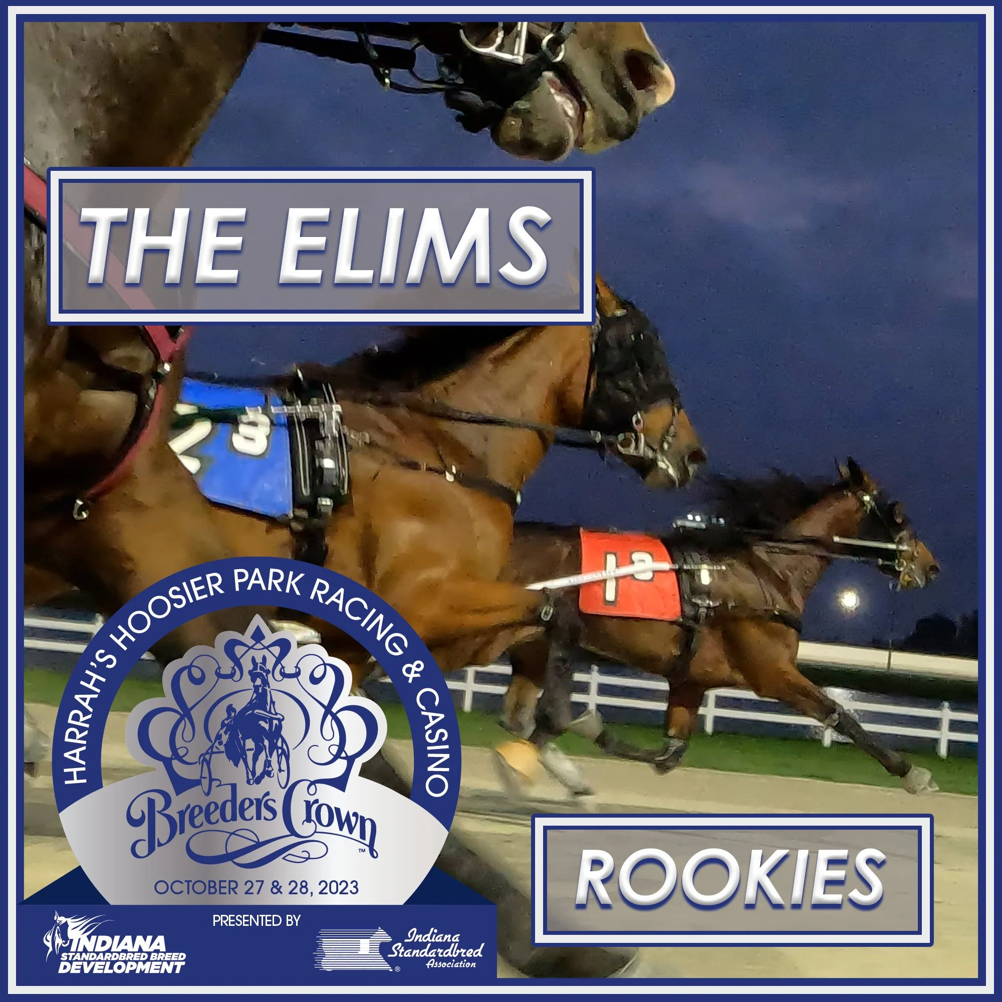 Rookie Breeders Crown Elims
