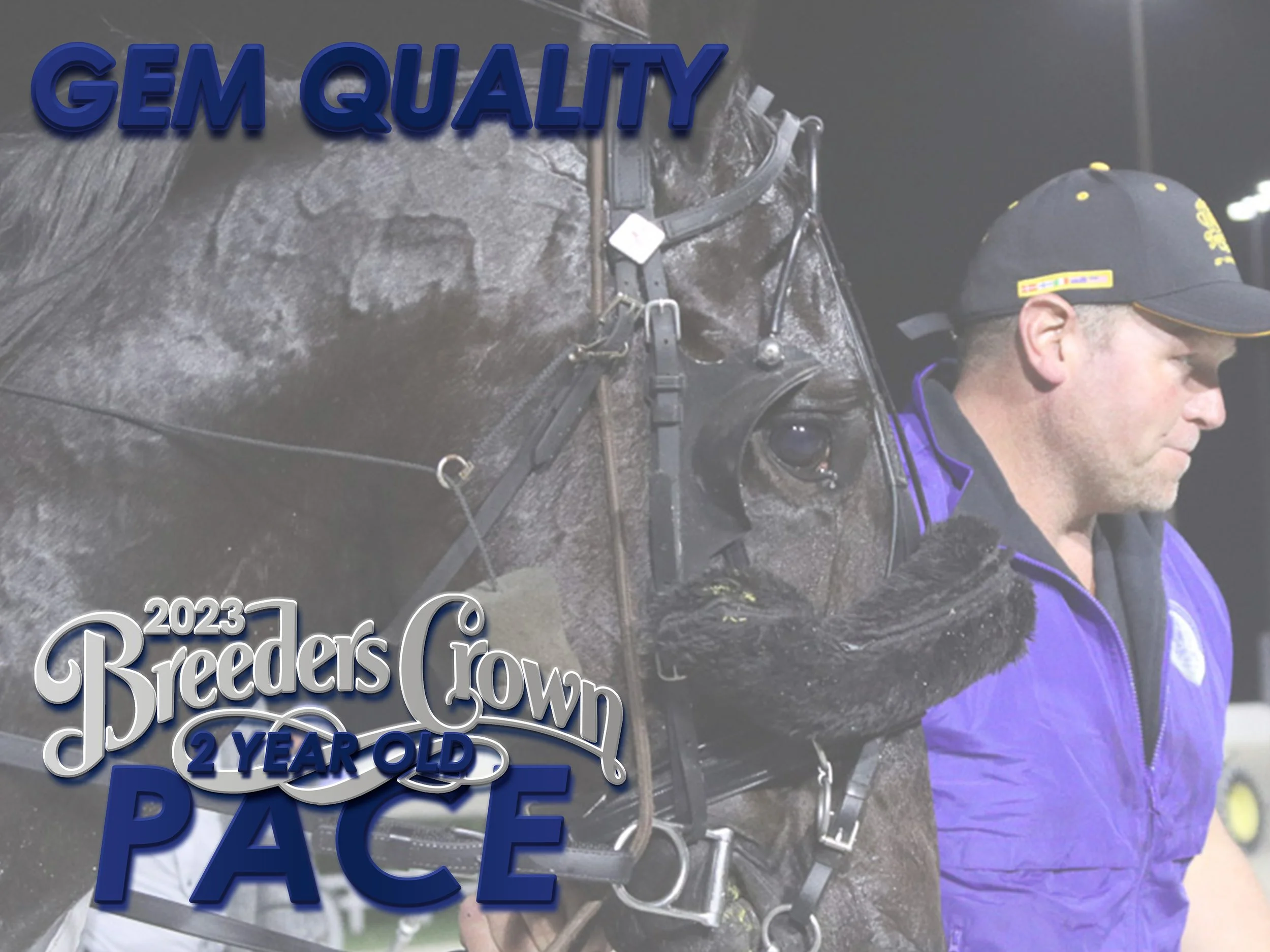 Gem Quality - 2CP