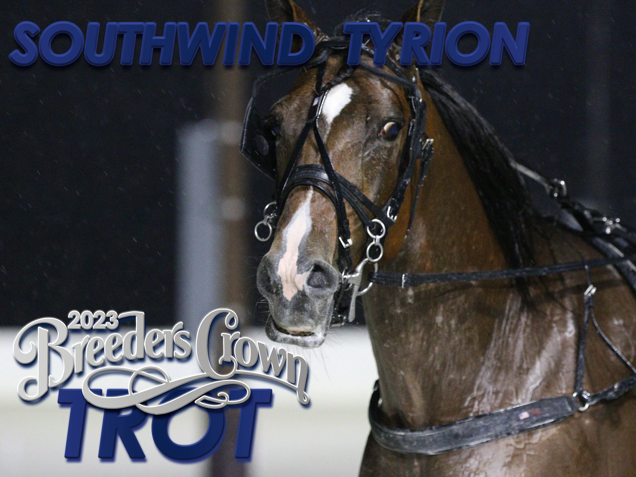 Southwind Tyrion - Open Trot