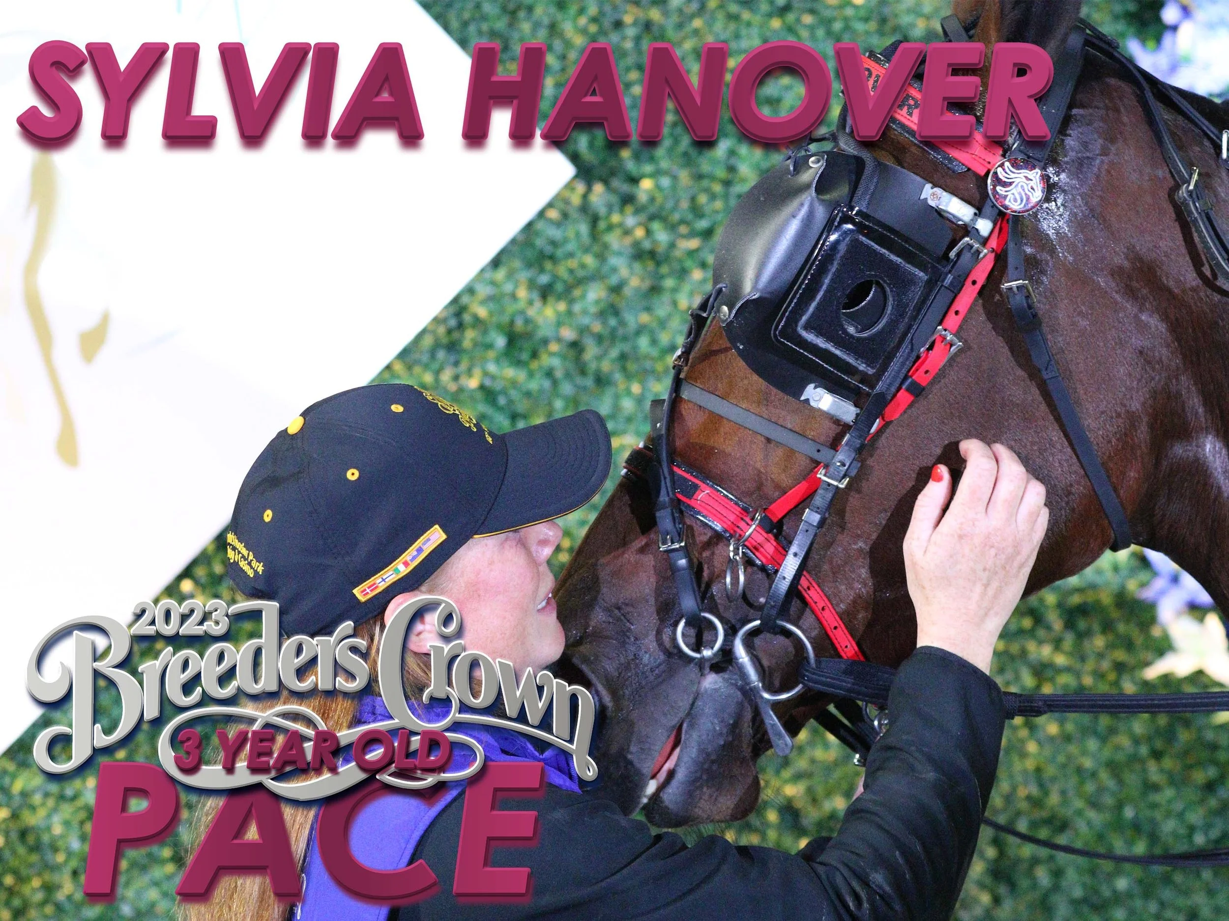Sylvia Hanover - 3FP