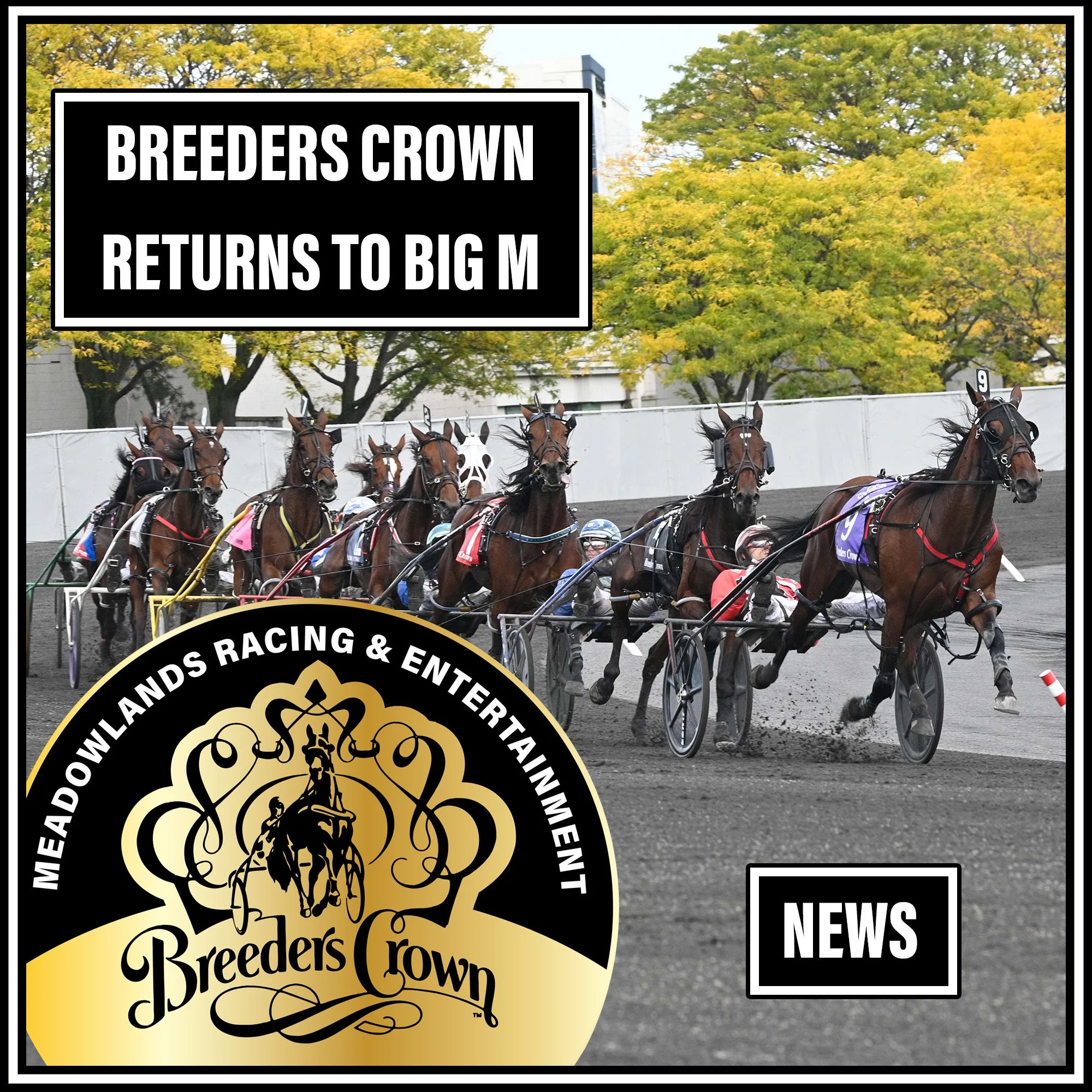 BREEDERS CROWN BACK AT BIG M IN 2024