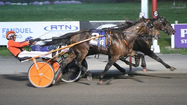 Dexter Cup Signals Start of Road to the Hambletonian