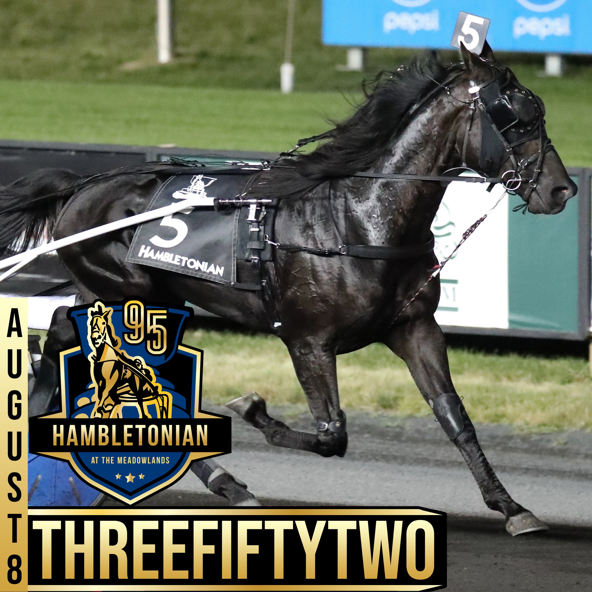 hambo 20 threefiftytwo.jpg
