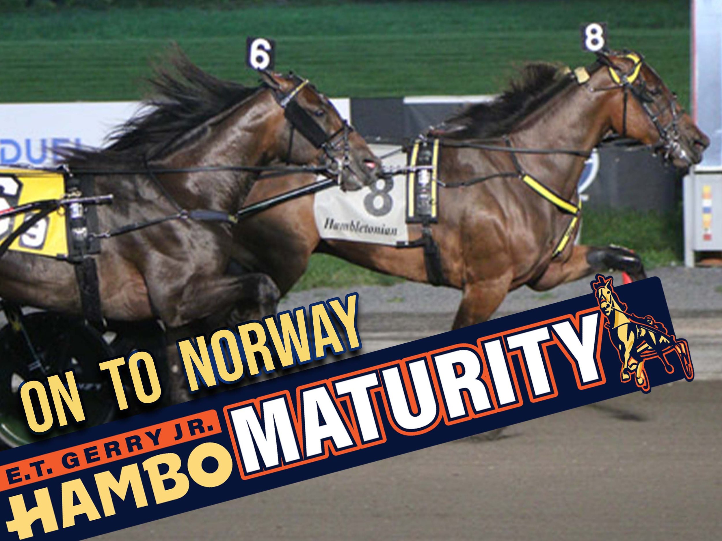 On To Norway becomes millionaire with G1 Maturity score