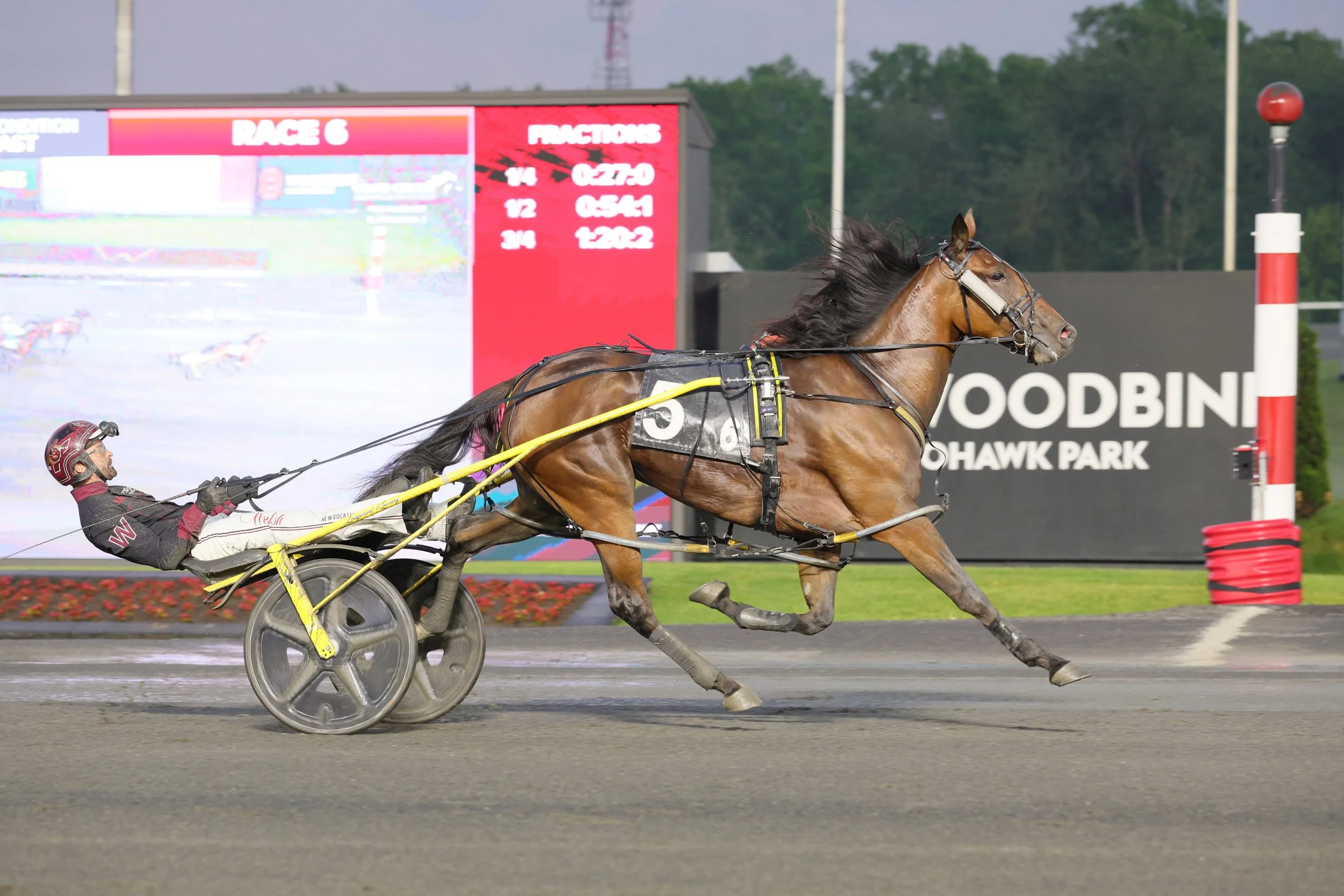 Loua Dipa | Fan Hanover Elim