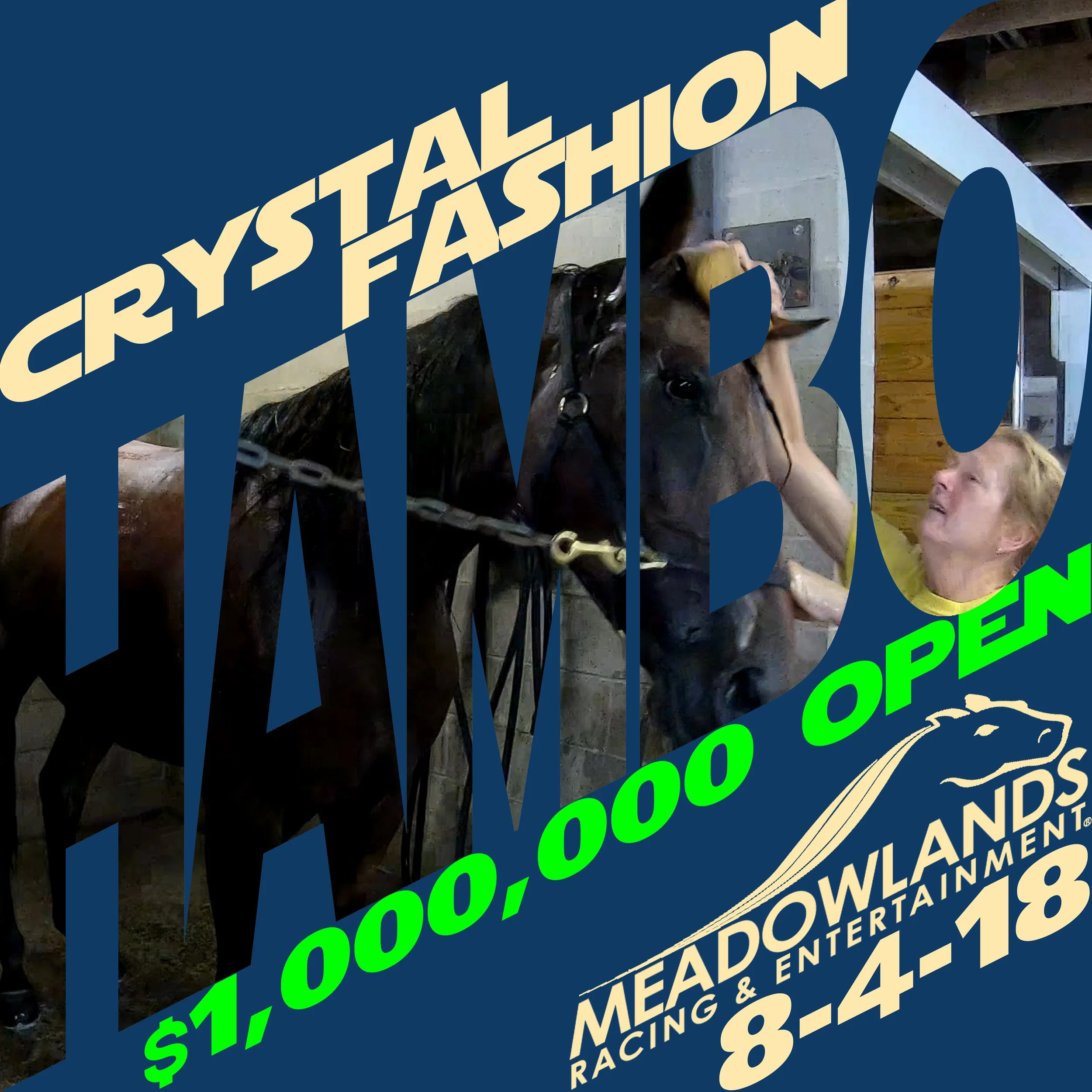 crystal  fashion.jpg