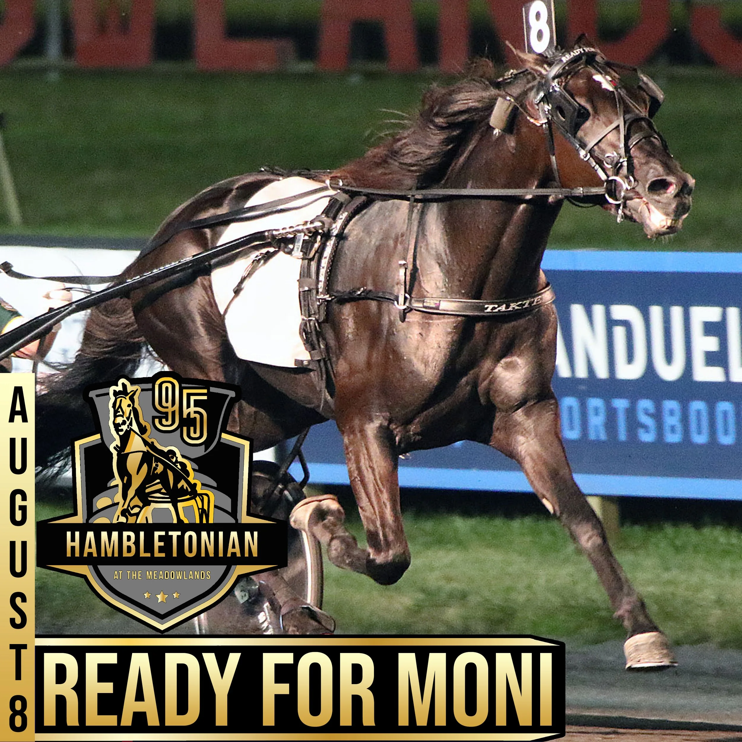 hambo 20 ready for moni.jpg