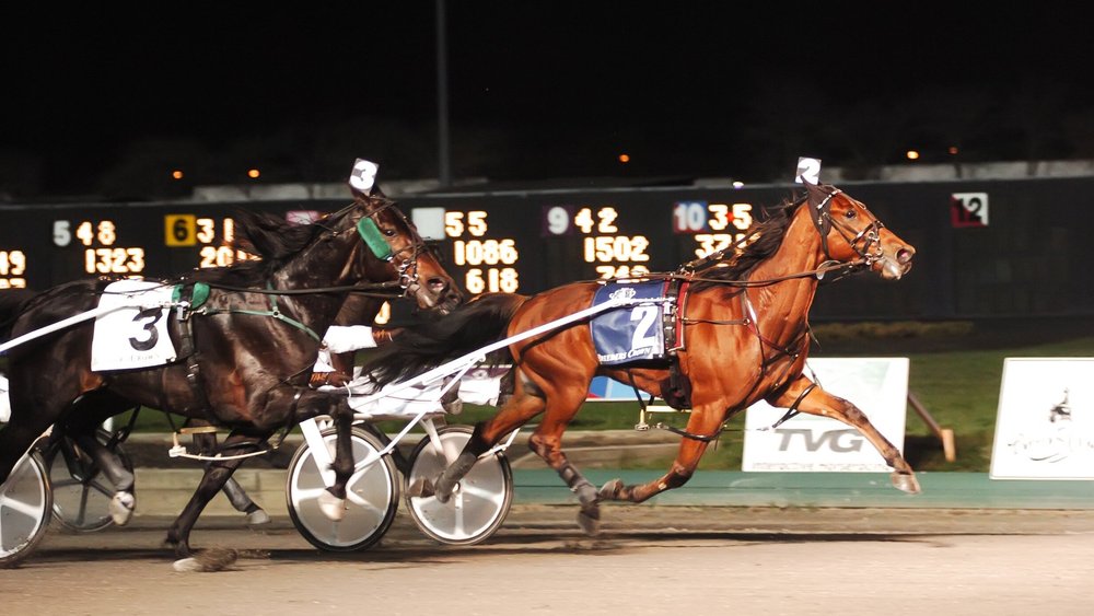 Breeders Crown