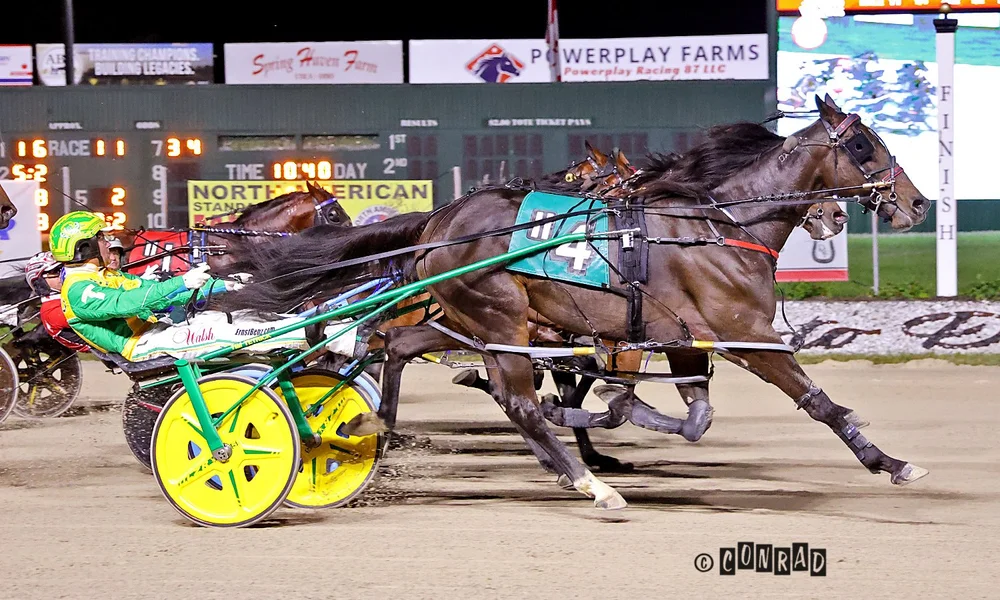 Dandy Ideal wins the second Breeders Crown Open Pace elimination at Eldorado Scioto Downs