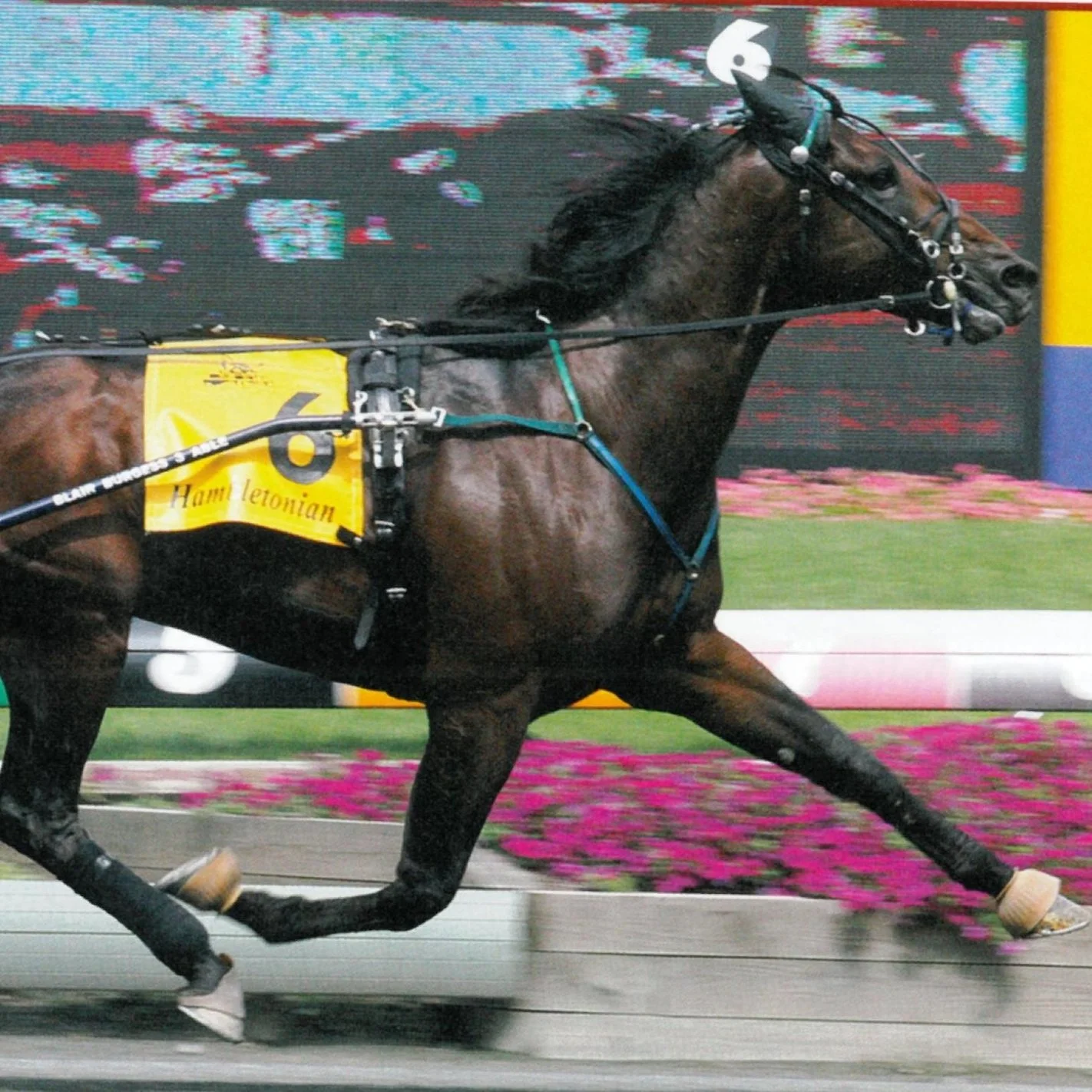 Amigo Hall Finish.jpg