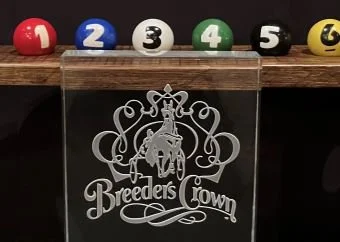 Numbered draw balls behind the Breeders Crown trophy