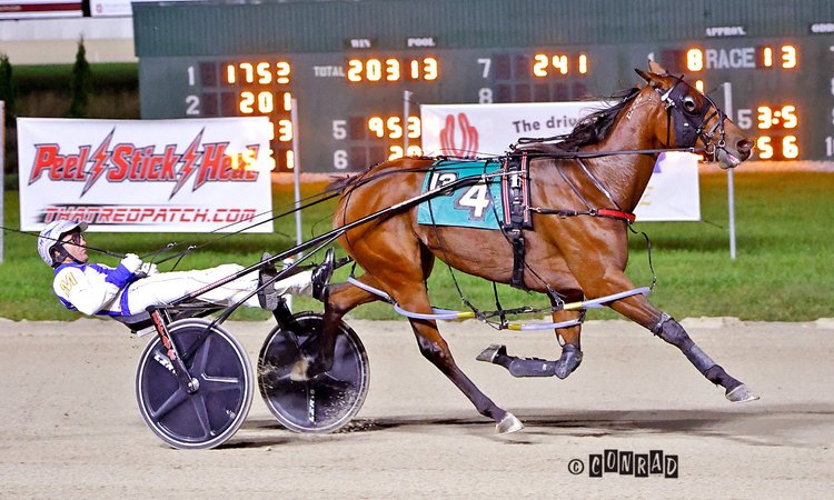Sangria Summer wins the 3-Year-Old Filly Pace Elim 2 at Eldorado Scioto Downs