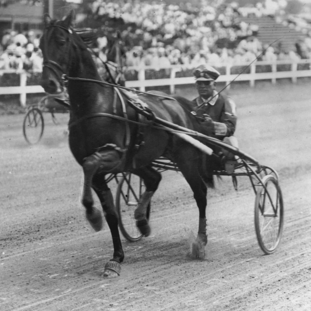 2022 Hambletonian media Guide — Hambletonian Society Inc