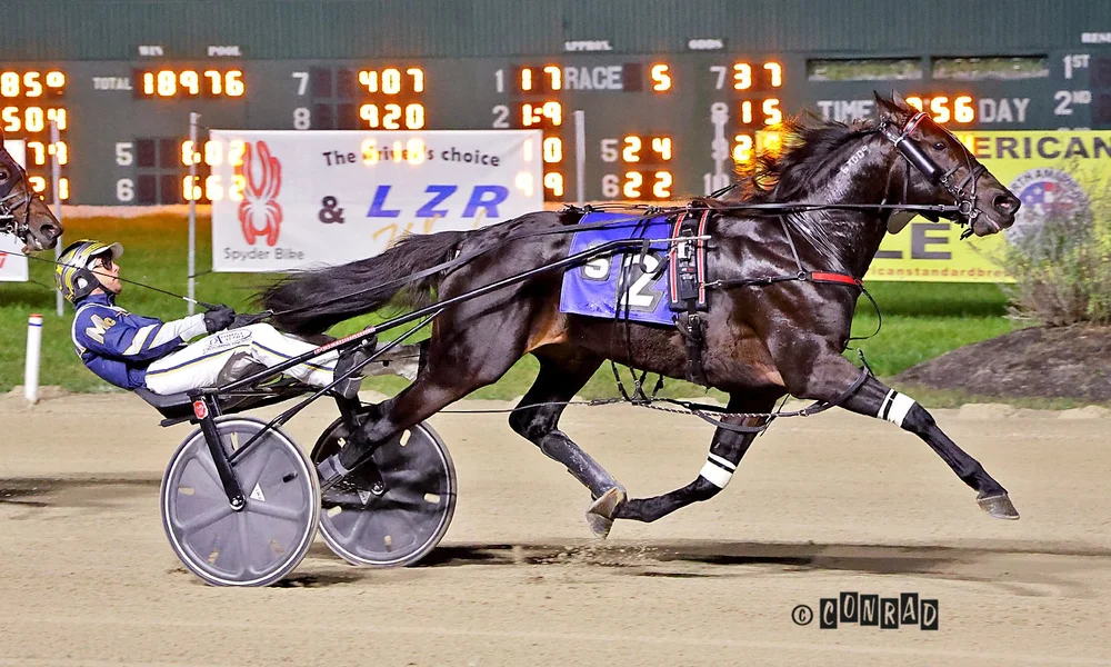Emoticon Legacy wins the Breeders Crown Open Trot elimination at Eldorado Scioto Downs
