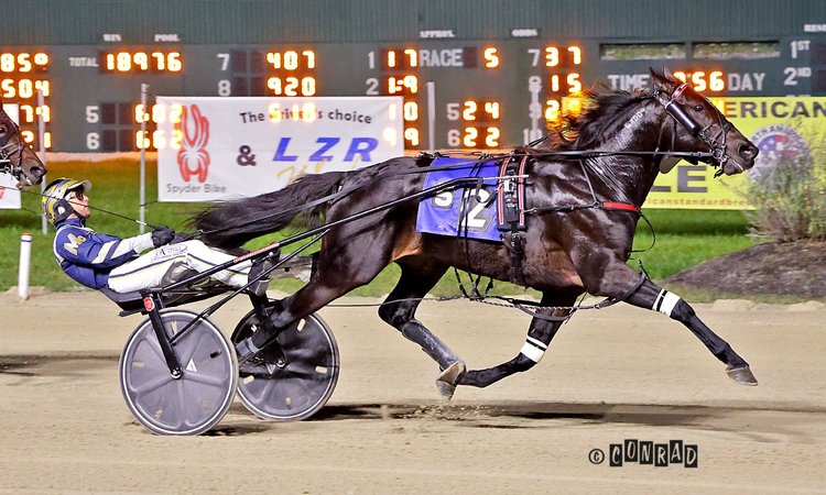 Emoticon Legacy wins the Open Trot Elim at Eldorado Scioto Downs