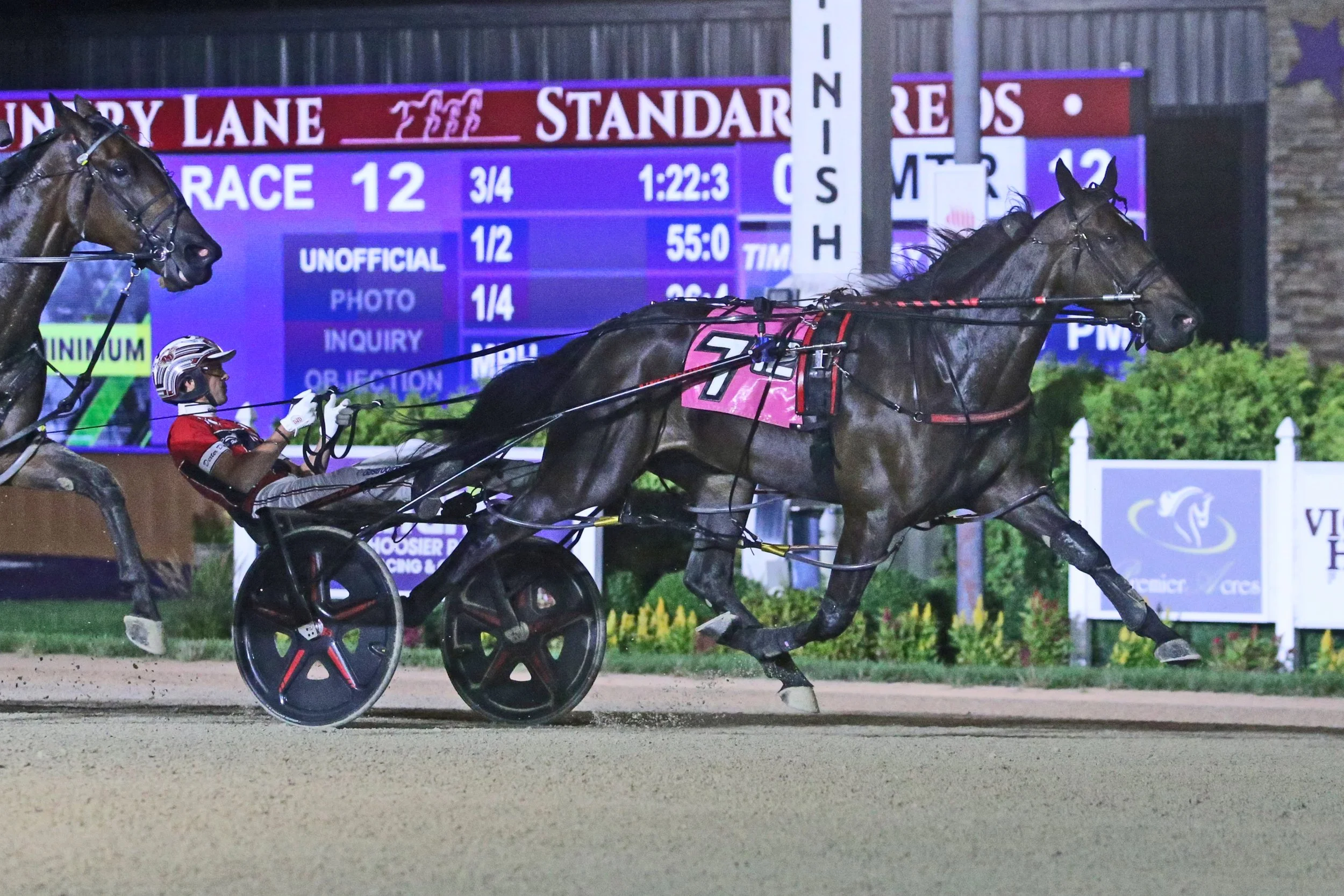 Three Times Bettor | Rockin Nola
