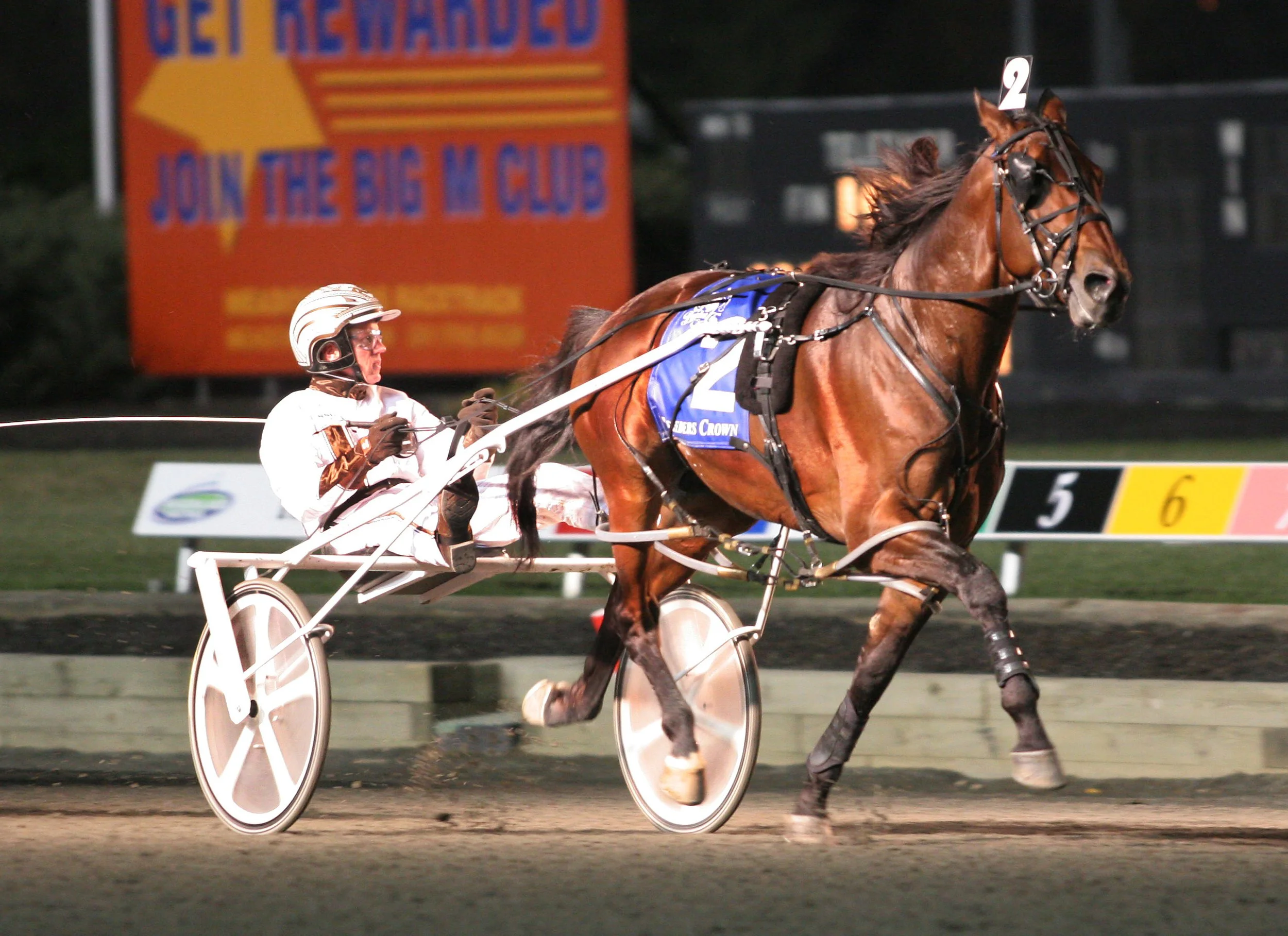 RocknRoll Hanover R10 Lisa.jpg