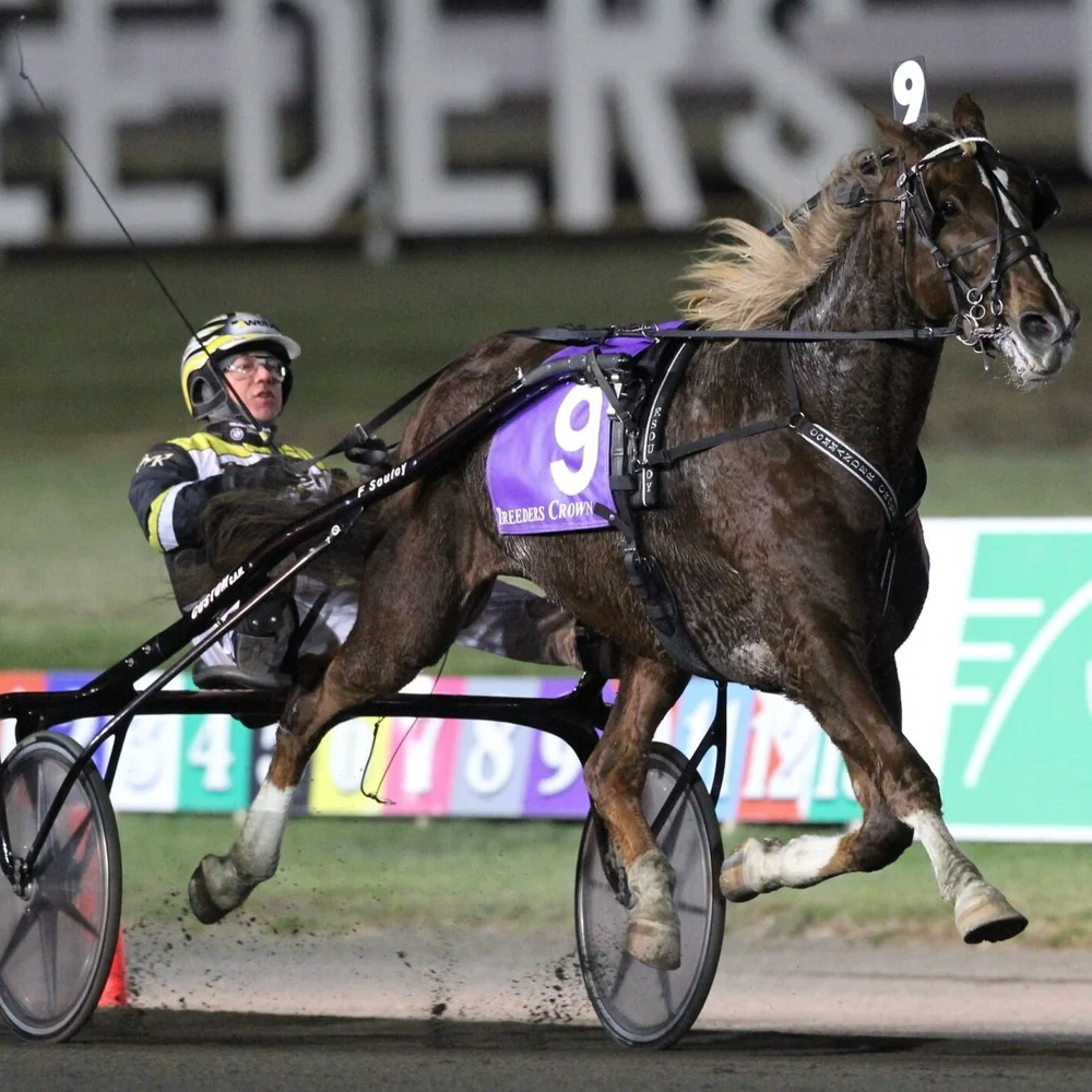 Breeders Crown