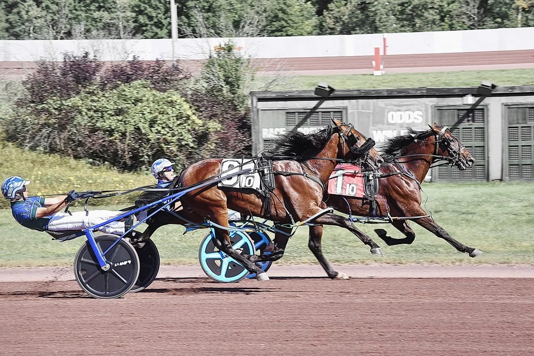 Shalom Hanover | PA Championship
