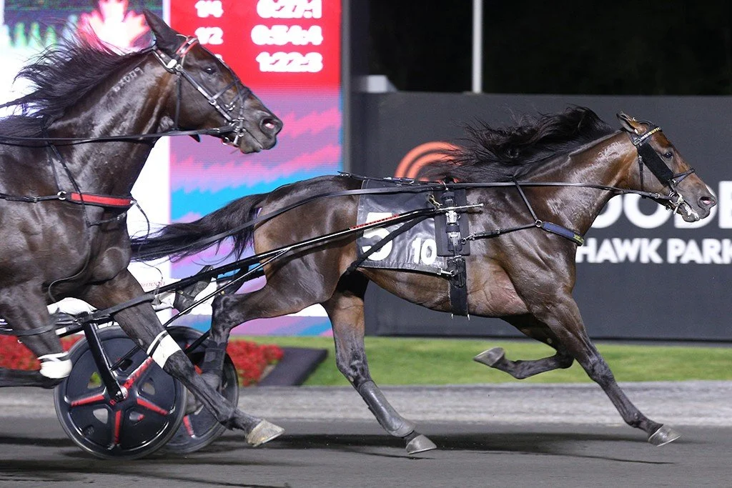 Super Chapter | Maple Leaf Trot Elim