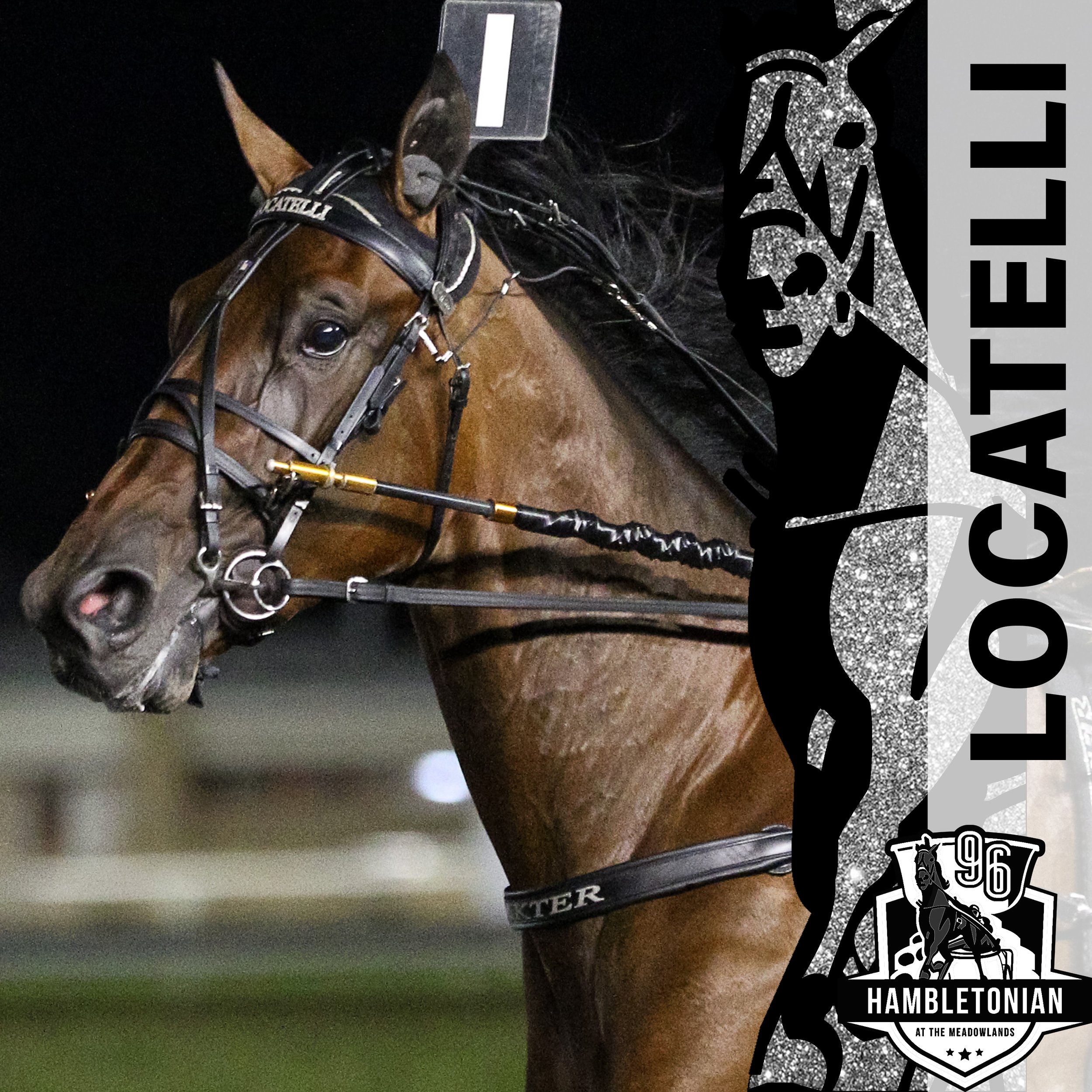 2021 entry hambo final locatelli.jpg