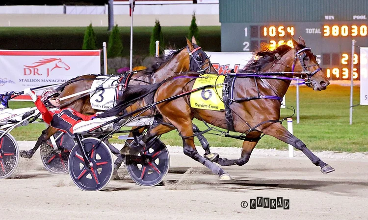 Twin B Joe Fresh wins the Breeders Crown Mare Pace