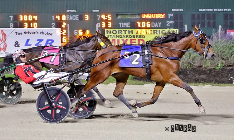Blue Ranger wins the 2-Year-Old Filly Trot Elim 1 at Eldorado Scioto Downs
