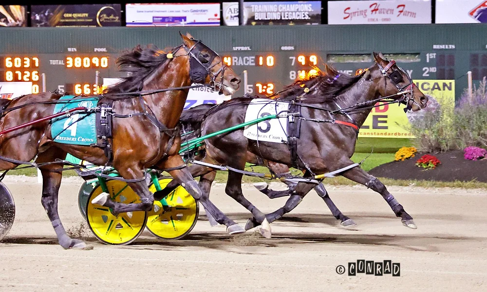 Dandy Ideal wins the Breeders Crown Open Pace at Eldorado Scioto Downs