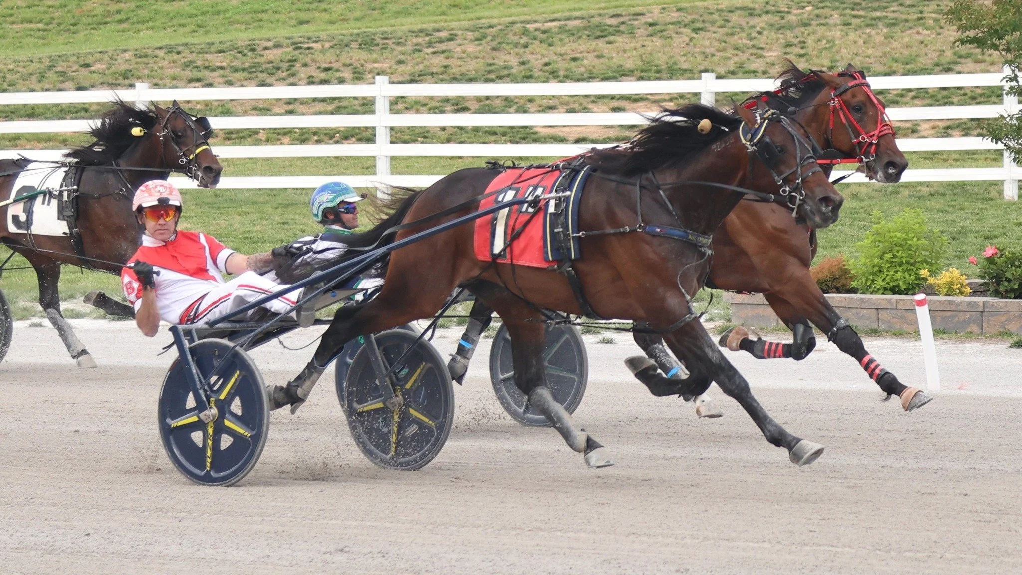 Oak Grove Trotting Derby +Oaks