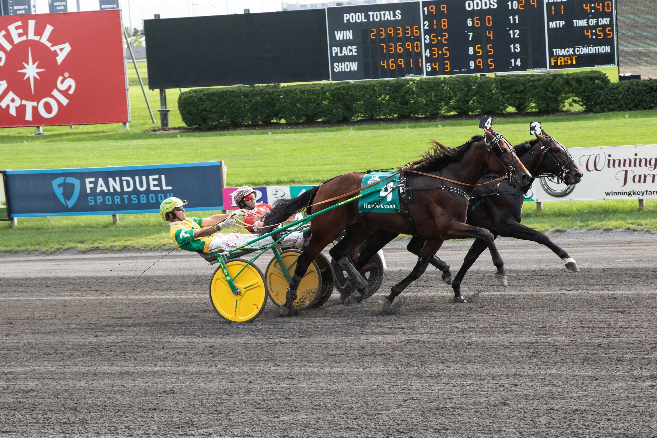 Apex-JL-Hambo-8.jpg