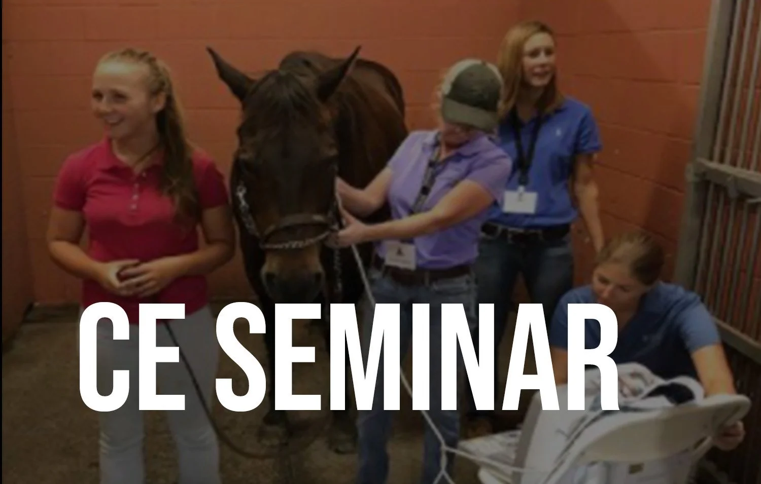 ce+seminar.jpg