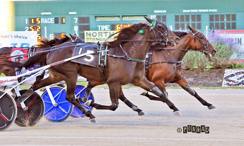 Nezuko Kamado S wins the first Breeders Crown 3-Year-Old Filly Trot elimination at Eldorado Scioto Downs