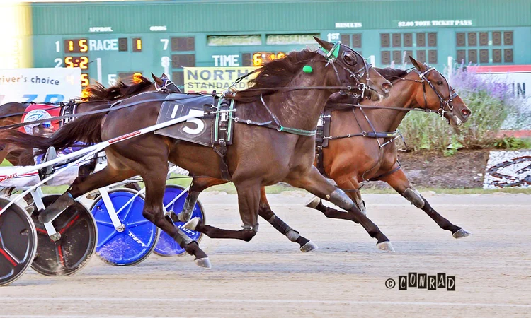 Nezuko Kamado S wins the 3-Year-Old Filly Trot Elim 1 at Eldorado Scioto Downs