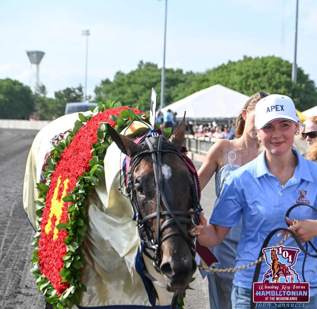 Apex | Hambletonian