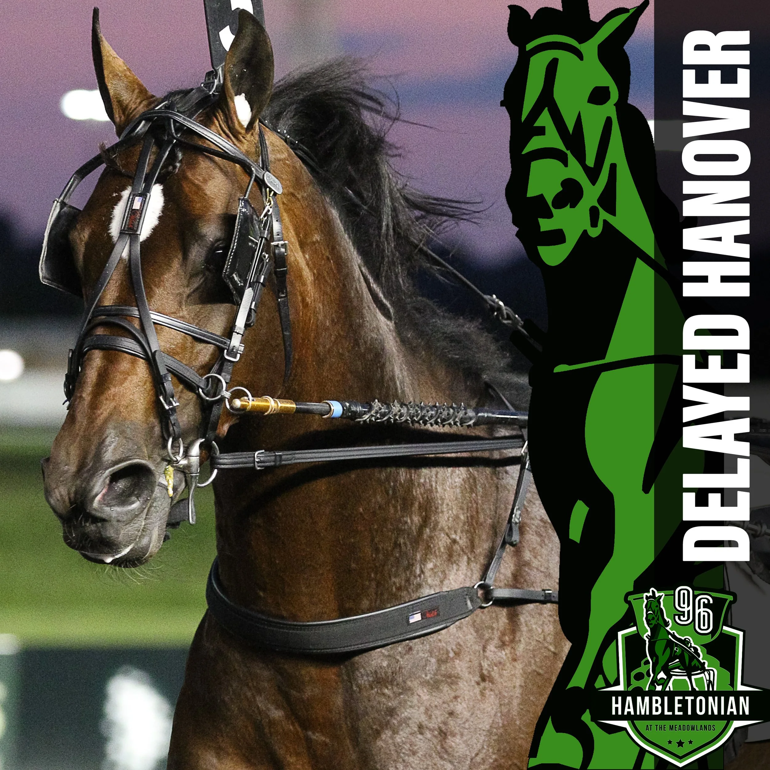 2021 entry hambo final delayed.jpg