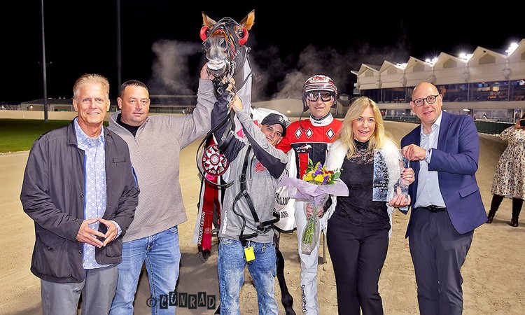 Blazin Lou after the Breeders Crown 2-Year-Old Colt Pace