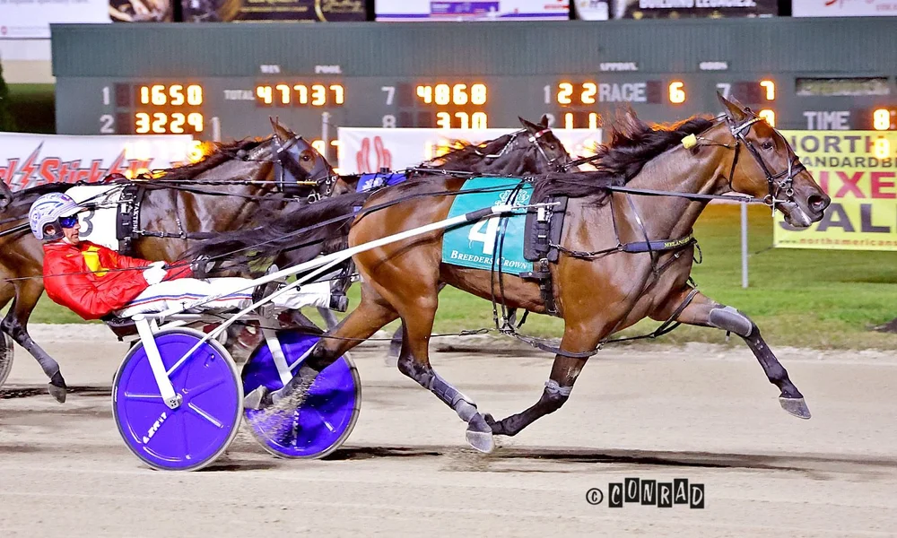 Nezuko Kamado S wins the Breeders Crown 3-Year-Old Filly Trot at Eldorado Scioto Downs