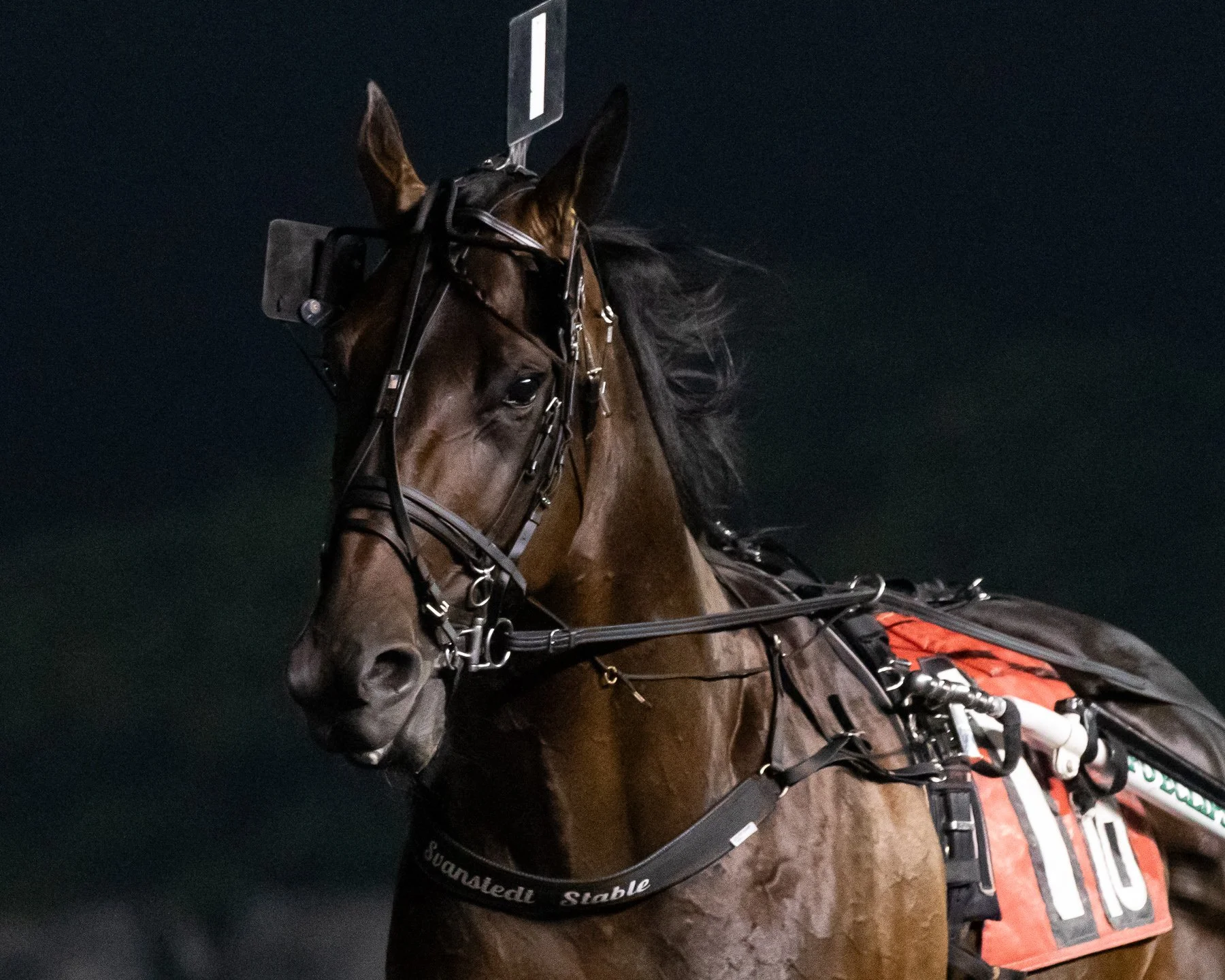 Nordic Catcher S | Post 6 — Hambletonian Society Inc