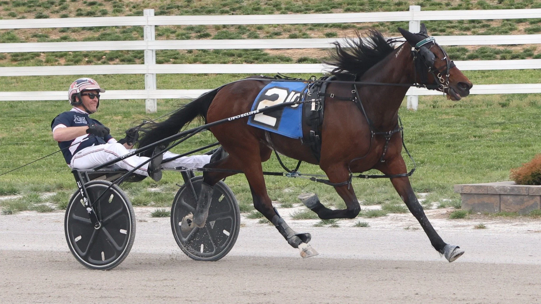 Jailbird Jog | Oaks