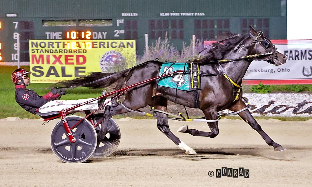 Melillo wins the second Breeders Crown 3-Year-Old Colt & Gelding Pace elimination at Eldorado Scioto Downs